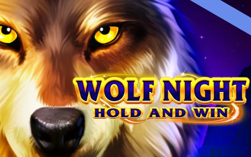 Zagraj w Wolf Night w Mostbet i poczuj mroczną atmosferę nocnej gry.