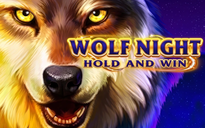 Wypróbuj automat Wolf Night w oficjalny kasynie online marki Mostbet.